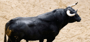 (Foto: WWW.LAMAESTRANZA.ES)