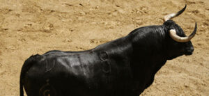 El 5º para esta tarde