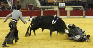 (Foto: Mundotoro-Nayade Moncin)