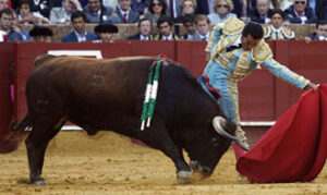 (Foto: González Arjona)