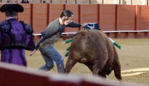 (Foto: González Arjona)