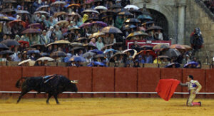 (Foto: González Arjona)