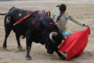 (Foto: Julián López)