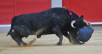 El Nico, con fisura de costilla y varios traumatismos