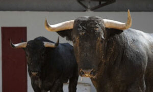 (Foto: Rullot/torosvalencia.com)