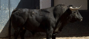 (Foto: www.las-ventas.com)