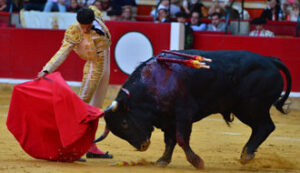 (Foto: Alberto Barrios)