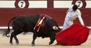 (Foto: Javier Arroyo)