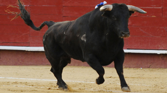 Nazario, también en Valencia