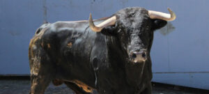 (Foto: choperatoros.com)