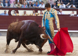 (Foto: Javier Arroyo)