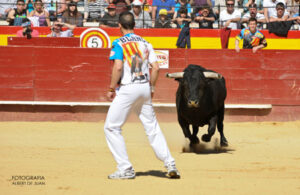 Ruiseñor embistiendo al galope hacia El Blanco (Foto: Albert de Juan)