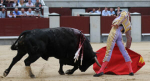 (Foto: Julián López)