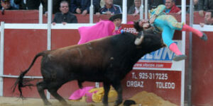 (Foto: Carlos Pinto)