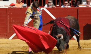 (Foto: Isabelle Dupin)