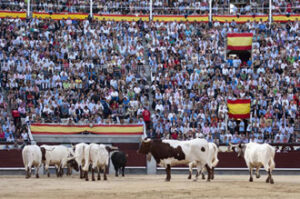 (Foto: Javier Arroyo)