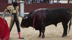 (Foto: Javier Arroyo)