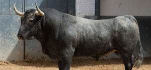 (Foto: www.las-ventas.com)