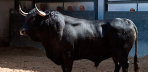 (Foto: www.las-ventas.com)