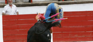 (Foto: Juan Carlos Terroso)