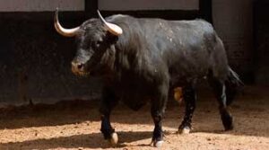 El primero de la tarde (Foto: Las-ventas.com)