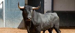 (Foto: www.las-ventas.com)