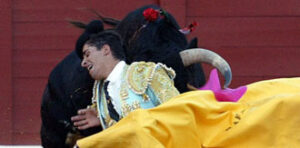 Cerro fue cogido a porta gayola. (Foto: González Arjona)