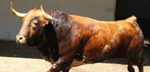 (Foto: choperatoros.com)