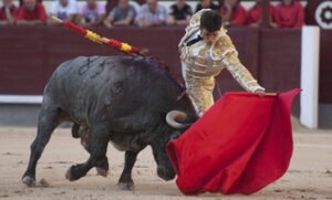 (Foto: Javier Arroyo)