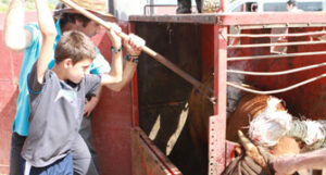 (Foto: Pablohermoso.net)