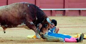 (Foto: González Arjona)