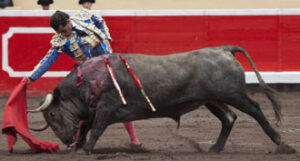 (Foto: Javier Arroyo)