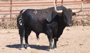 (Foto: torosysanfermines.blogspot.com)