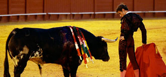 (Foto: González Arjona)