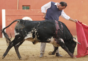 (Foto: Guillermo Lorente)