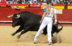 (Foto: Albert de Juan)