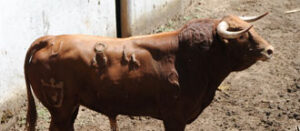 (Foto: Julián López)