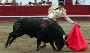 Saldívar gustándose en el toreo al natural.