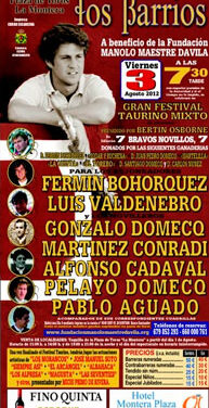 Festival benéfico en Los Barrios