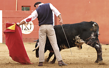 “No podía negarme”