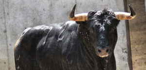 (Foto: choperatoros.com)