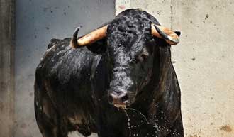 (Foto: choperatoros.com)