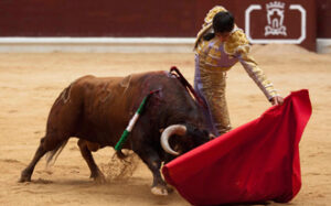 (Foto: Javier Arroyo)