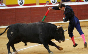 (Foto: Blanca Aldanondo)