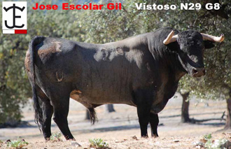 Doblete de Escolar en Nules