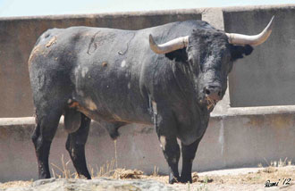 Victorino Martín abre las fiestas de San Xoxim en Vilavella