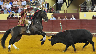 Salgueiro arrasa en Lisboa