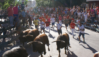 Rápido y limpio segundo encierro en Calasparra