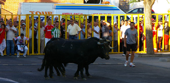 Dos heridos en el encierro de la "Pamplona Toledana"