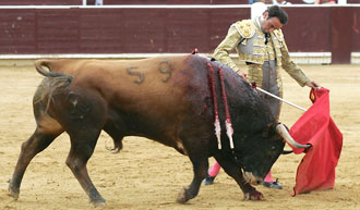 (Foto: Moratalla Barba)